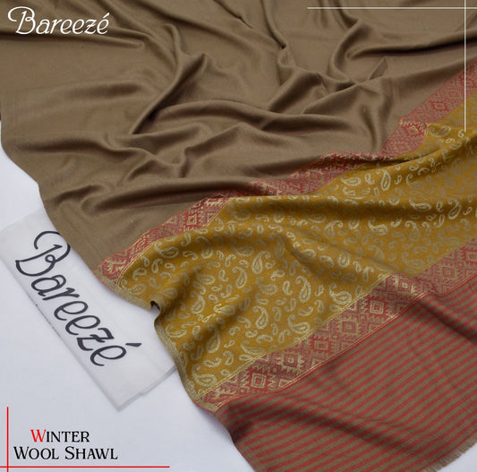 Ladies shawl Fabric Indian bnarsi velvet